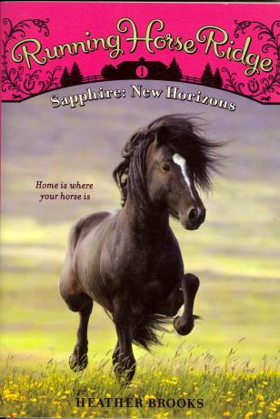 Sapphire: New Horizons (Running Horse Ridge Bk. 1)
