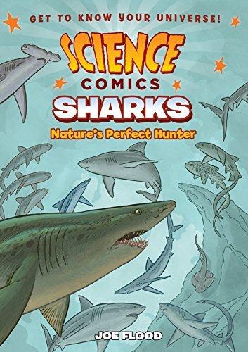 Sharks: Nature's Perfect Hunter (Science Comics)