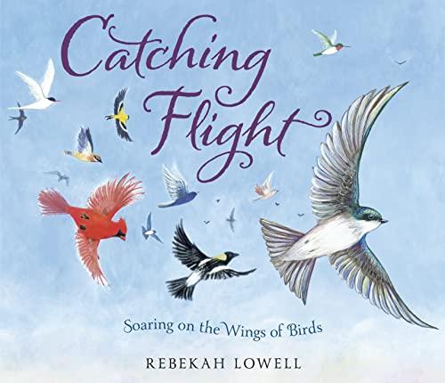 Catching Flight: Soaring on the Wings of Birds