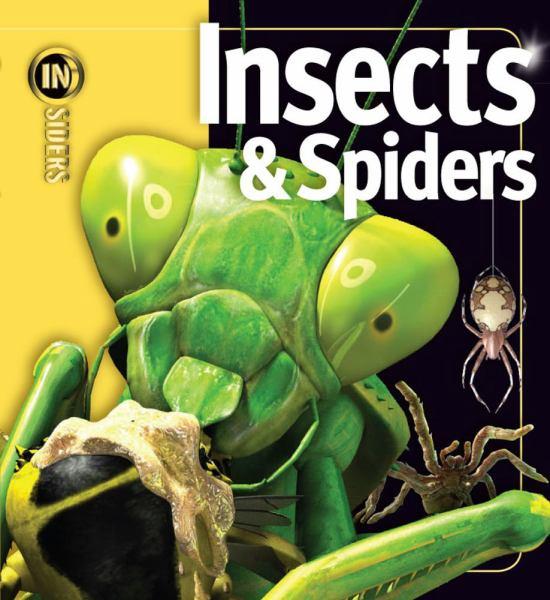 Insects and Spiders (Insiders)